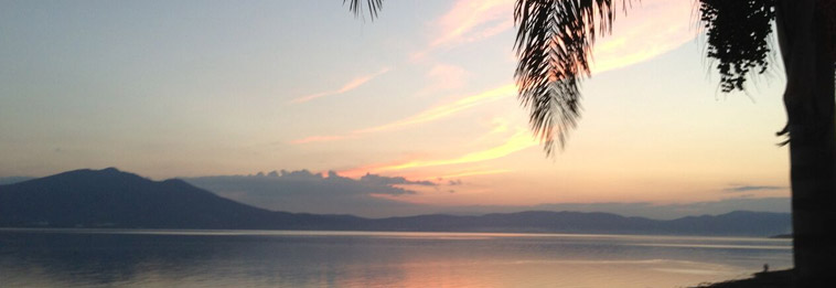 About Life in Lake Chapala