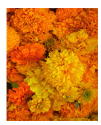 The Day of the Dead – Making You Think in Mexico