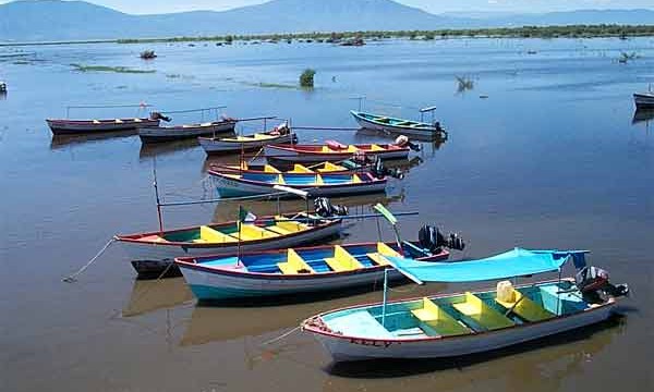 Lake Chapala: State of the Lake 2019